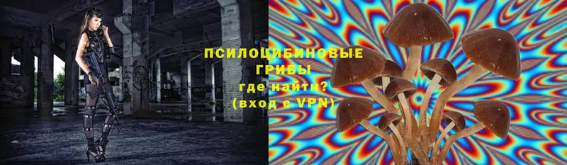 Галлюциногенные грибы Magic Shrooms  Москва 